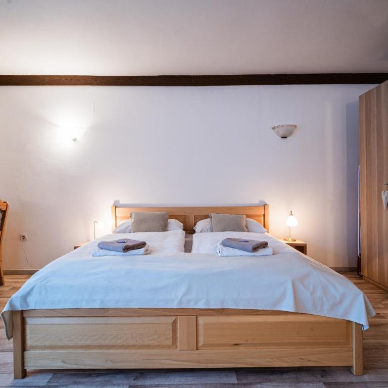 Alpenpension Haslinger - Studio mit Bergblick - 6