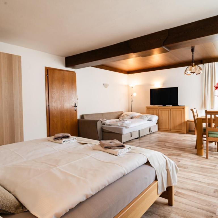 Alpenpension Haslinger - Studio mit Bergblick - 8
