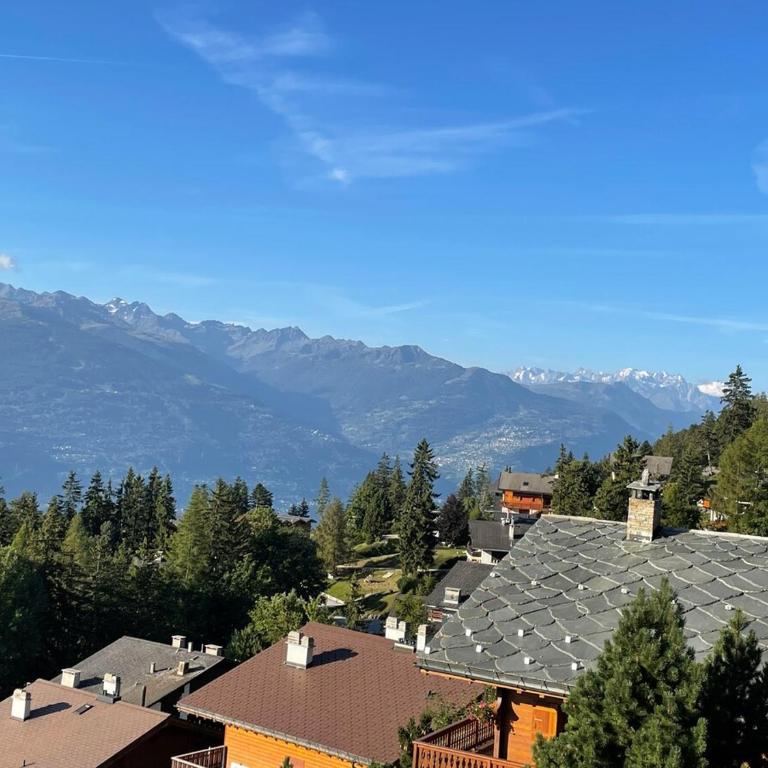 Nice apartment with great views in Anzère - Apartment mit 2 Schlafzimmern - 16