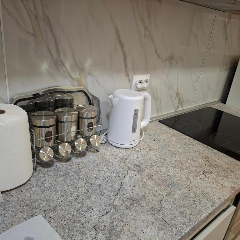 Apartman Pesic Niš - Two-Bedroom Apartment - 4