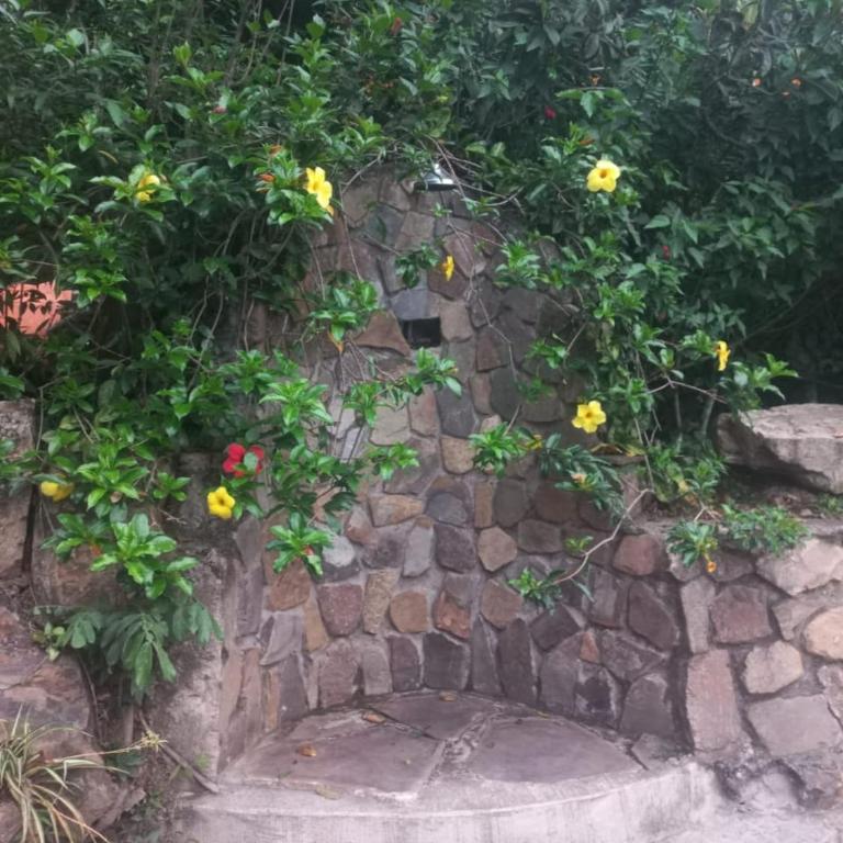 Moranegra - Casa y Campo - Three-Bedroom House - 12