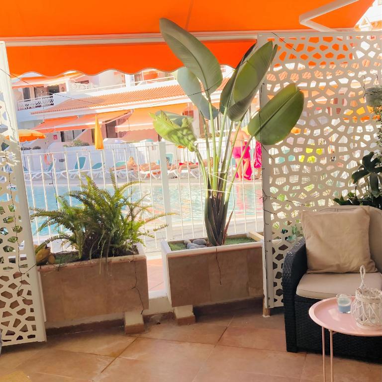 Apartment with terrace and pool, Los Cristianos - Apartamento de 1 dormitorio - 15