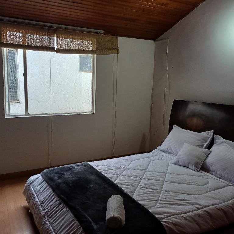 Casa Amplia y cómoda en zona tranquila de la ciudad - Casa de 5 dormitorios - 9