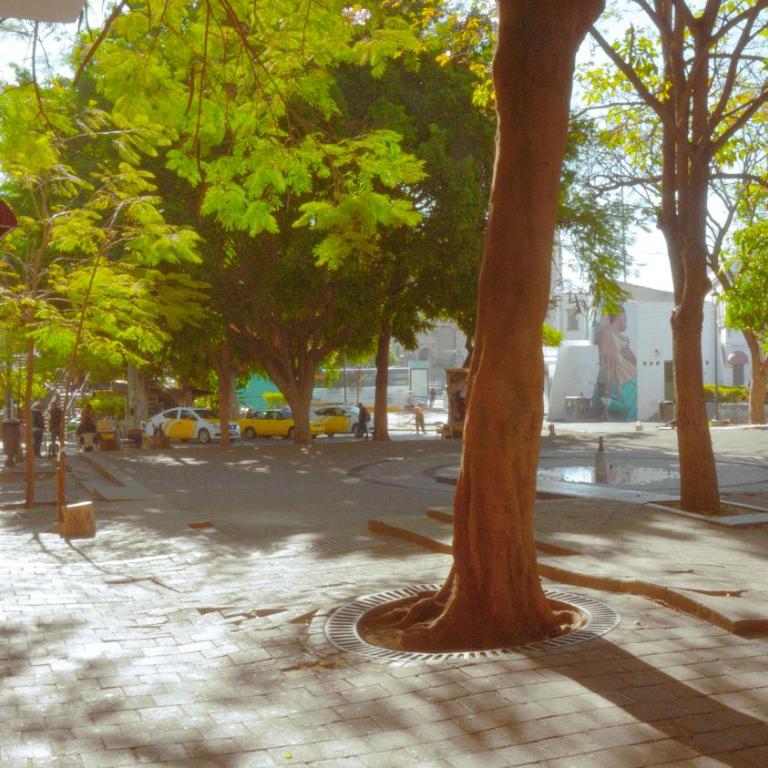céntrico guadalajara - Apartamento de 1 dormitorio - 60