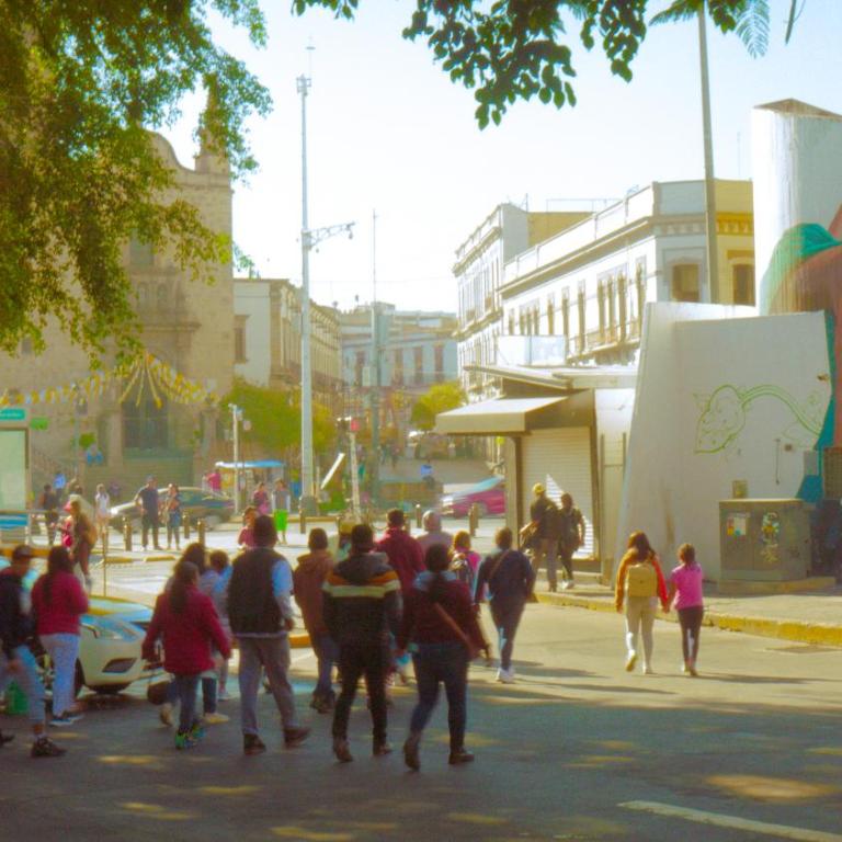 céntrico guadalajara - Apartamento de 1 dormitorio - 59