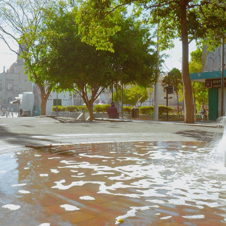 céntrico guadalajara - Apartamento de 1 dormitorio - 64