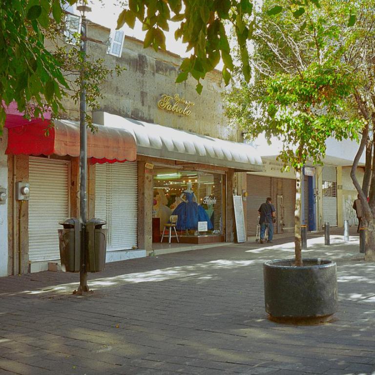 céntrico guadalajara - Apartamento de 1 dormitorio - 62