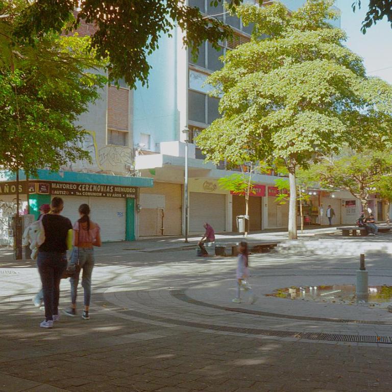 céntrico guadalajara - Apartamento de 1 dormitorio - 84