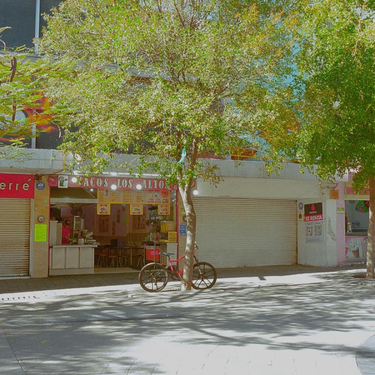 céntrico guadalajara - Apartamento de 1 dormitorio - 79