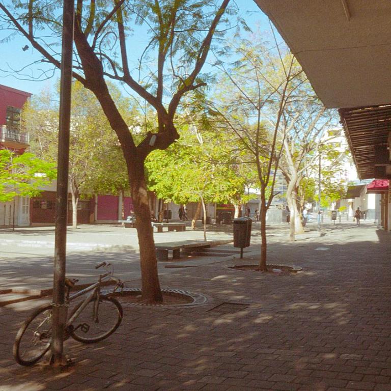 céntrico guadalajara - Apartamento de 1 dormitorio - 70
