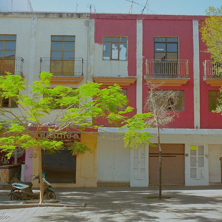 céntrico guadalajara - Apartamento de 1 dormitorio - 72