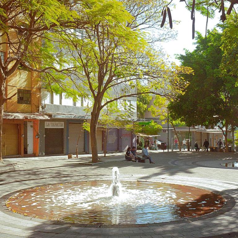 céntrico guadalajara - Apartamento de 1 dormitorio - 80