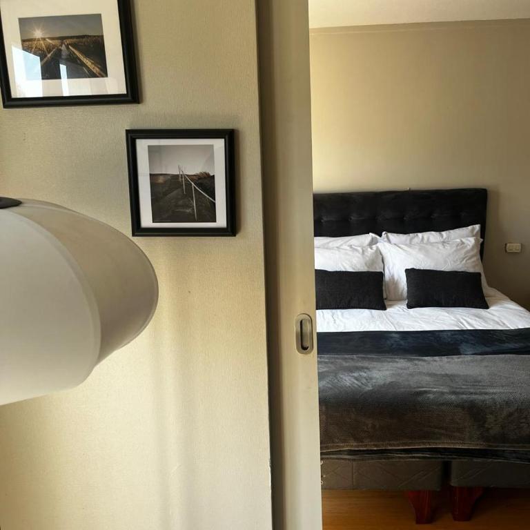 Lastarrias Apartments - One-Bedroom Apartment - 1