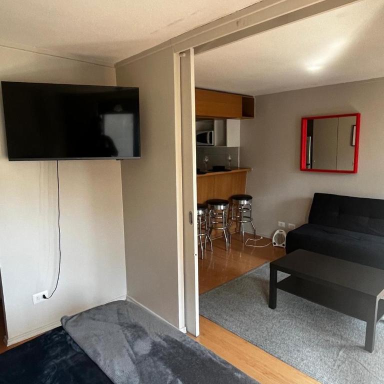 Lastarrias Apartments - One-Bedroom Apartment - 6