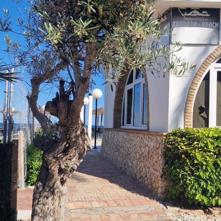 Chill and sun , Dehesa de Campoamor - Apartamento de 2 dormitorios - 14