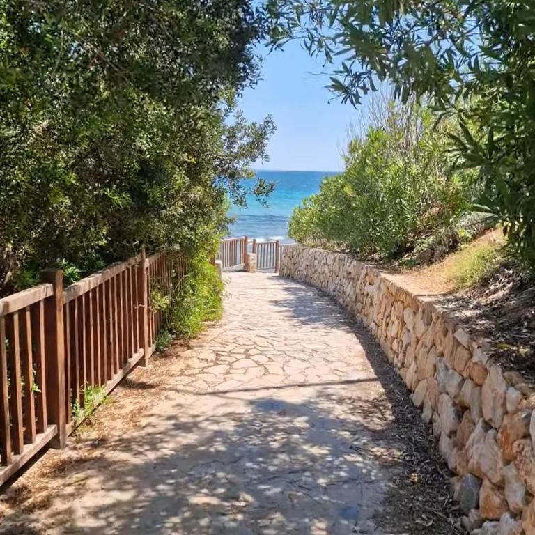 Chill and sun , Dehesa de Campoamor - Apartamento de 2 dormitorios - 19