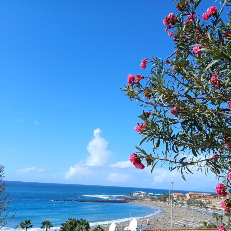 Sol y mar, Los Cristianos, Playa Las Vistas - Apartamento de 1 dormitorio - 3