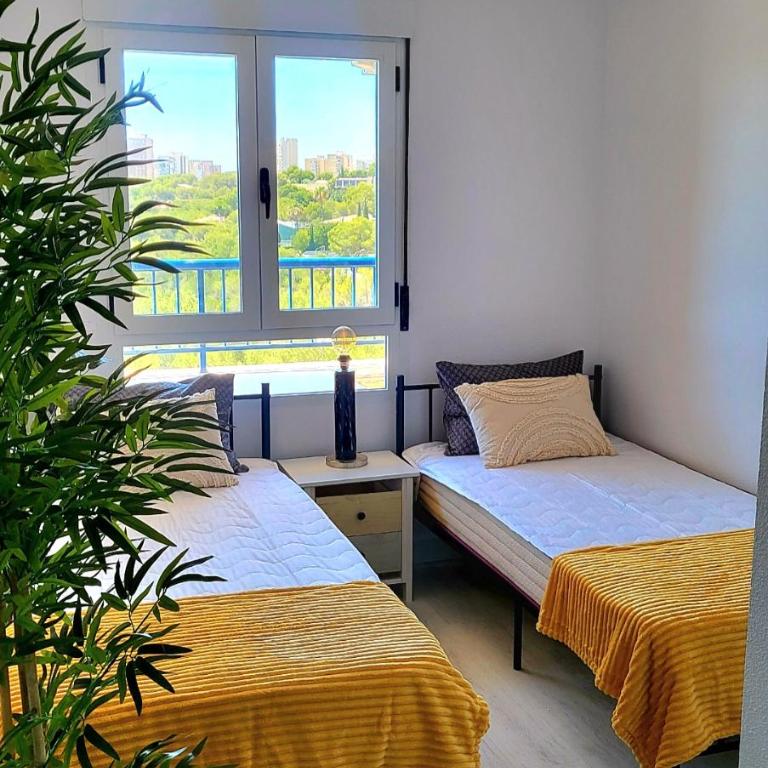 Chill and sun , Dehesa de Campoamor - Apartamento de 2 dormitorios - 8