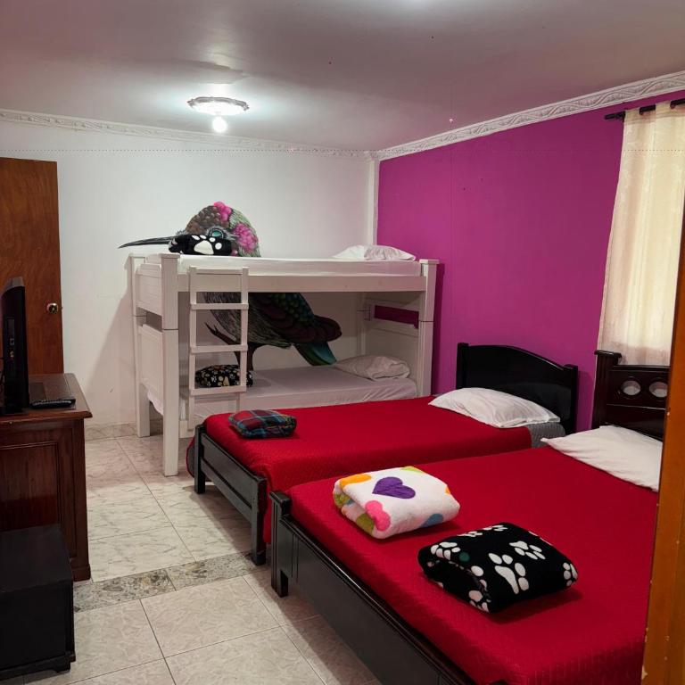 EcoHotel Colibrí Salento - Habitación Familiar Deluxe - 31