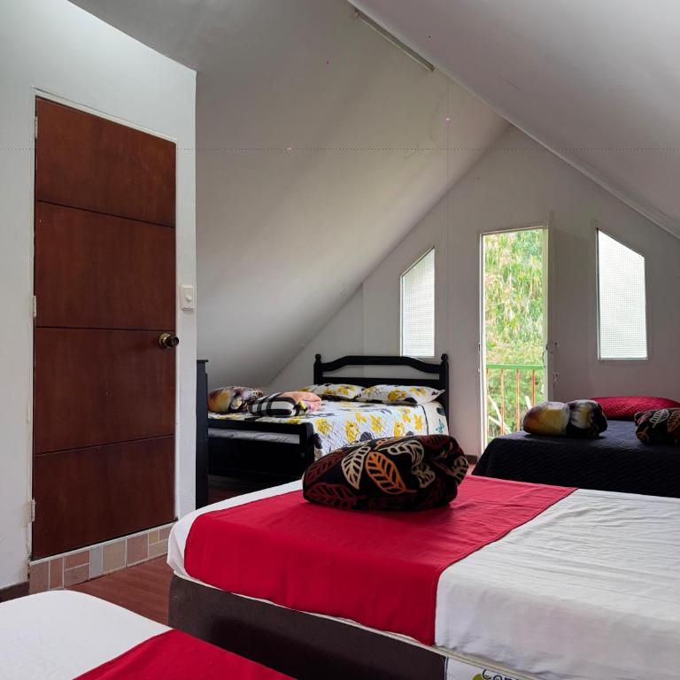 EcoHotel Colibrí Salento - Habitación Familiar Deluxe - 32