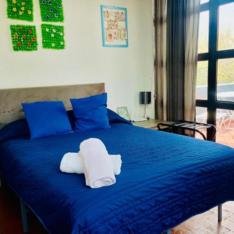 Tizapan 07 NEW 1BE 1BA - One-Bedroom Apartment - 1