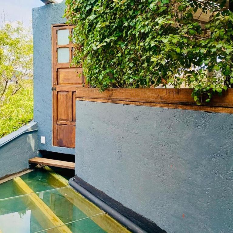 Tizapan 07 NEW 1BE 1BA - One-Bedroom Apartment - 4