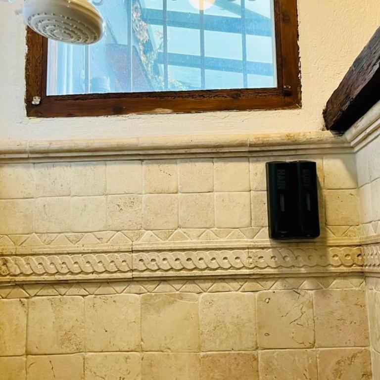 Tizapan 05 NEW 1BE&1BA - One-Bedroom Apartment - 5