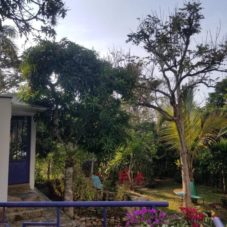 Quynde Ecofina Una casa de campo para el alma - Casa de 3 dormitorios - 5