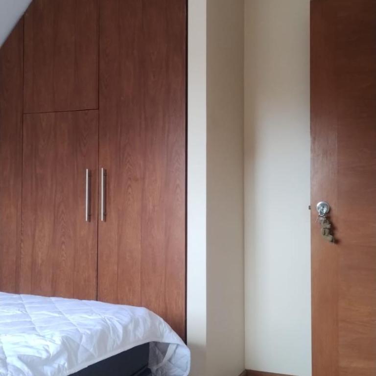 Pehuenche - One-Bedroom Apartment - 1