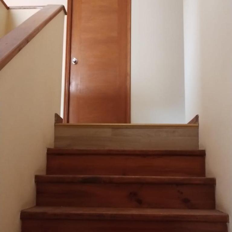 Pehuenche - One-Bedroom Apartment - 4