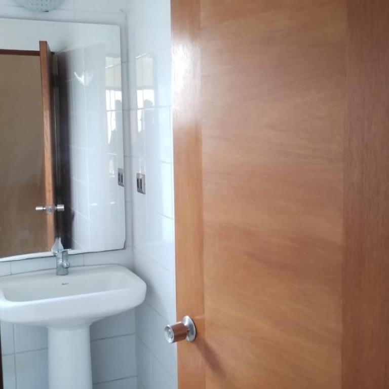 Pehuenche - One-Bedroom Apartment - 5