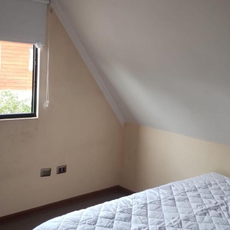 Pehuenche - One-Bedroom Apartment - 6