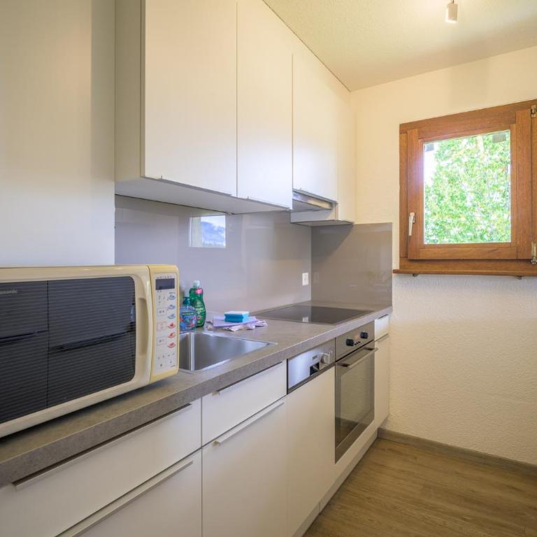 Edelweiss Ferienwohnung, Attica Muntognas - Apartment mit Blick auf die Berge - 15