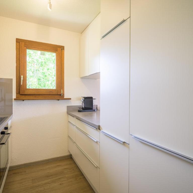 Edelweiss Ferienwohnung, Attica Muntognas - Apartment mit Blick auf die Berge - 16
