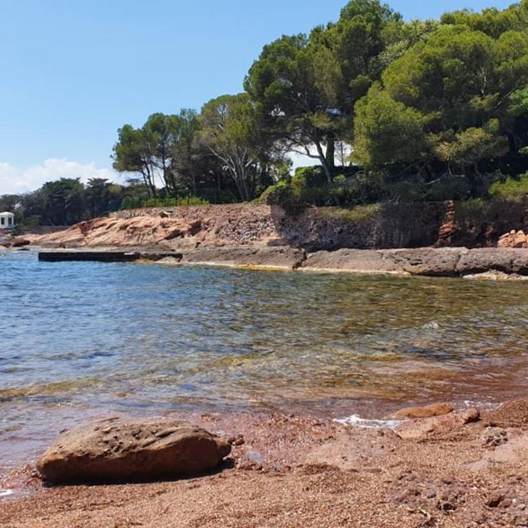 Beautiful apartment with terrace - Saint-Raphaël - Apartamento - 20