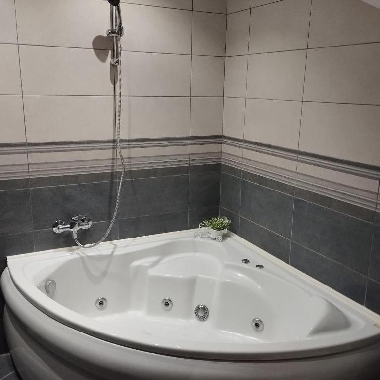 Duplex Apartman Centar - Two-Bedroom Apartment with Balcony - 11