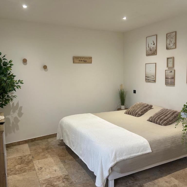 Studio Indépendant - Appartement 1 Chambre - 7