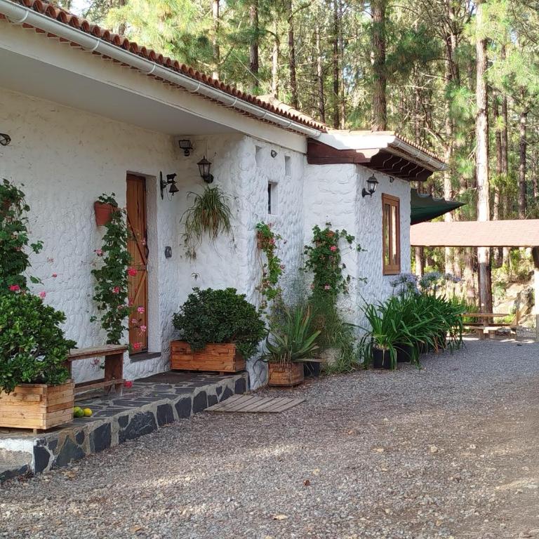 Floral garden house - Casa de 2 dormitorios - 2