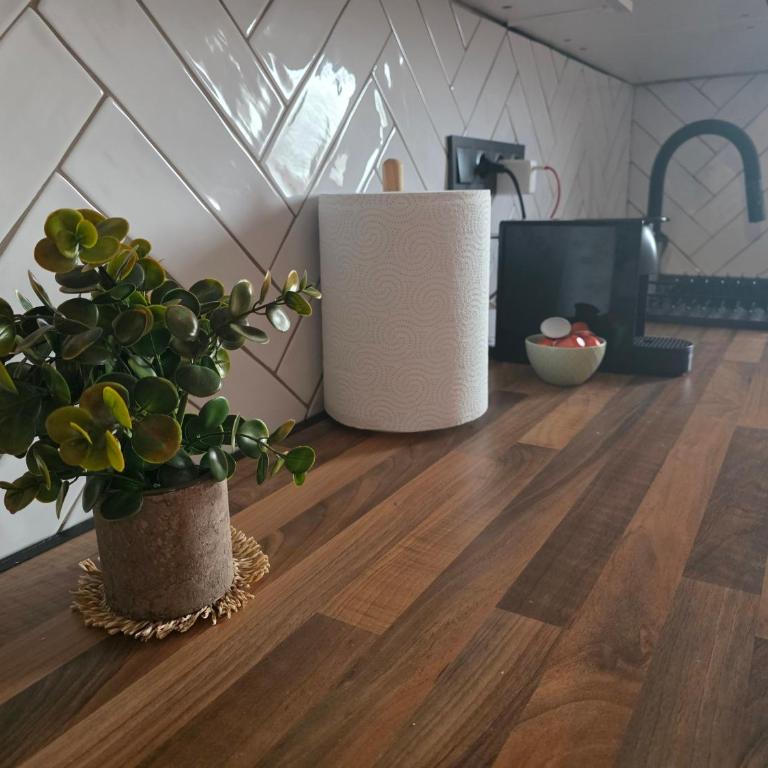Salty and sunny Torrevieja stay - One-Bedroom Apartment - 23