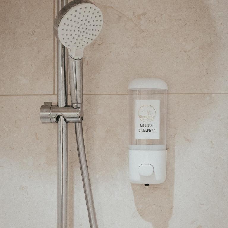 Studio Chic & Spacieux Hyper-Centre Clermont C - Appartement 1 Chambre - 24