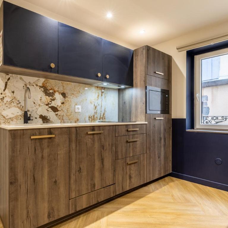 Studio Chic & Spacieux Hyper-Centre Clermont B - Appartement 1 Chambre - 24