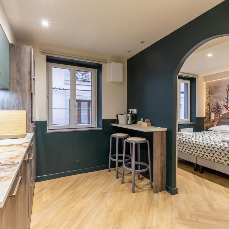 Studio Chic & Spacieux Hyper-Centre Clermont A - Appartement 1 Chambre - 33