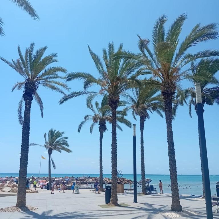 Stay in Torrevieja Comfortable Sea & Sand - Apartamento de 3 dormitorios - 4