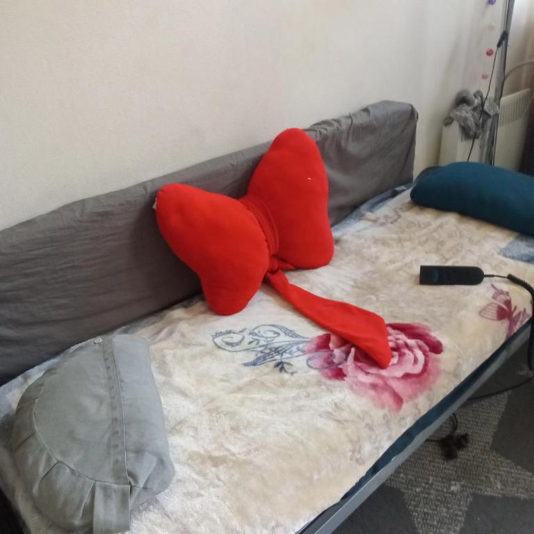 Charmant studio - Appartement 1 Chambre - 4