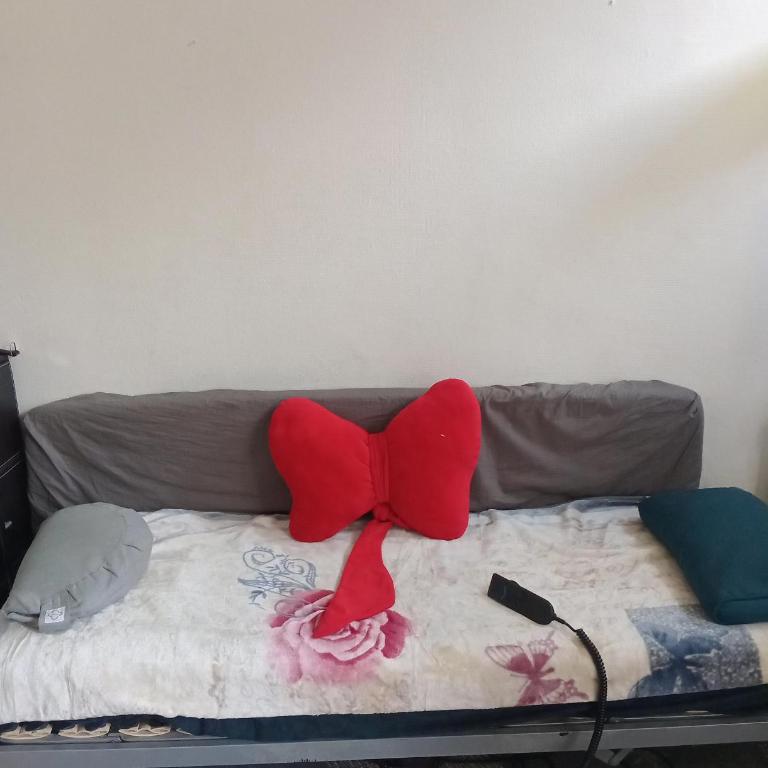 Charmant studio - Appartement 1 Chambre - 2