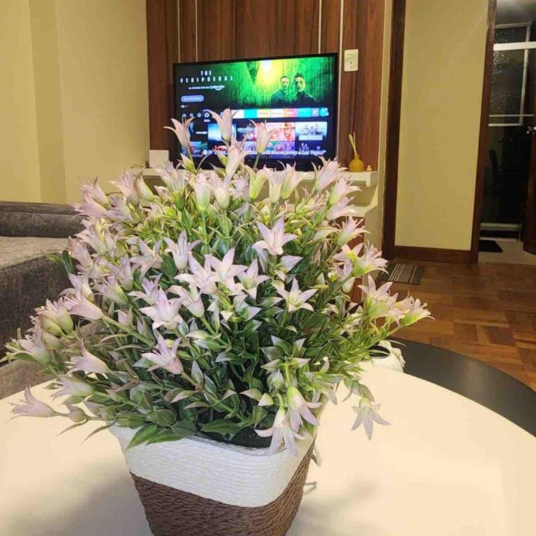 Modern, downtown and sunny! - One-Bedroom Apartment - 5