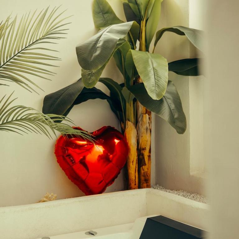 Love room Piccola casa, côté île - Apartamento de 1 dormitorio - 4