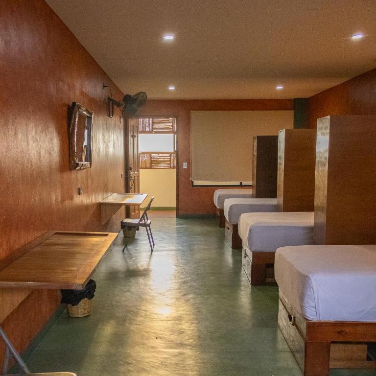 Madre Tierra Hostal - Cama Individual en habitación compartida femenina - 21