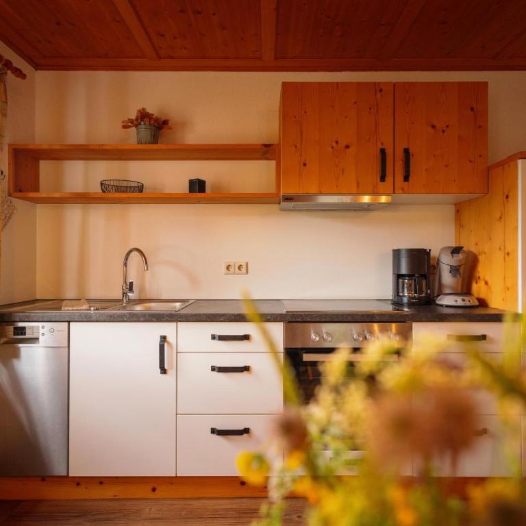 Ferienhof Sinz im Allgäu - Apartment mit 2 Schlafzimmern und Bergblick - 2