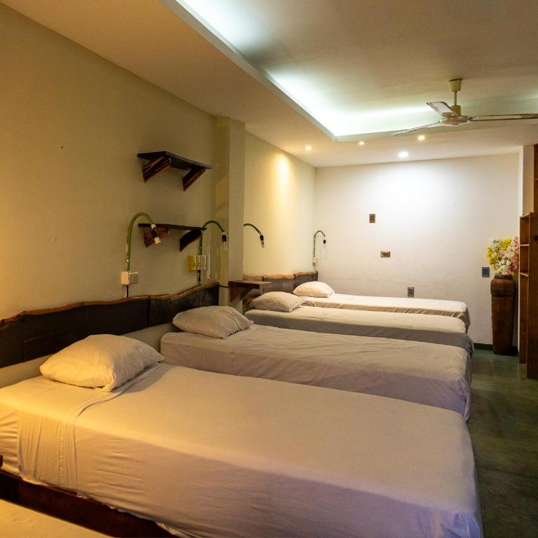 Madre Tierra Hostal - Cama en habitación compartida mixta de 6 camas - 20